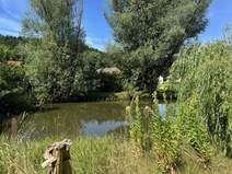 immobilien teich und fischwirtschaft kaufen