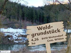 Grundstück kaufen in 8410 Weitendorf