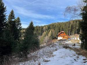 Grundstück provisionsfrei kaufen in 9400 Wolfsberg
