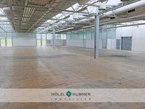 Halle / Lager / Produktion mieten in 5541 Altenmarkt