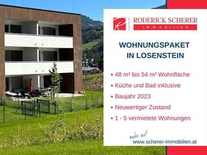 Anlageobjekt kaufen in 4460 Losenstein
