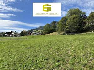 Grundstück kaufen in 6721 Thüringerberg