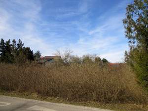 Grundstück kaufen in 2604 Theresienfeld