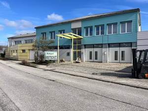 Gewerbeobjekt kaufen in 4441 Ramingdorf