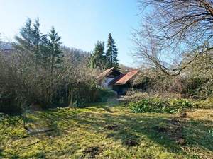 Grundstück kaufen in 3002 Purkersdorf (Bild 1)