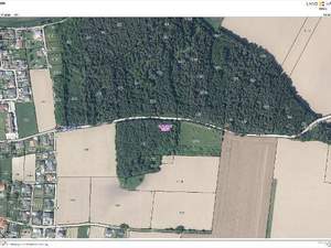 Jagd- und Forstwirtschaft kaufen in 9131 Grafenstein (Bild 1)