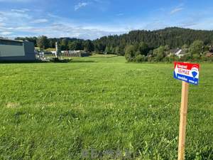 Grundstück kaufen in 4170 Haslach