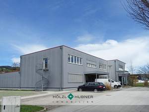 Halle / Lager / Produktion kaufen in 5303 Thalgau