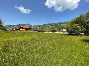 Grundstück kaufen in 6364 Brixen
