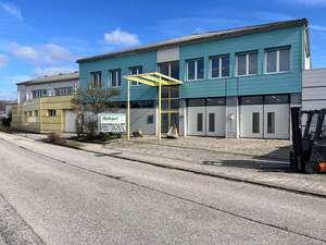 Immobilie kaufen in 4441 Ramingdorf