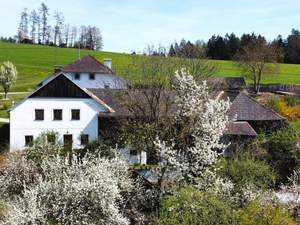 Haus kaufen in 4150 Rohrbach