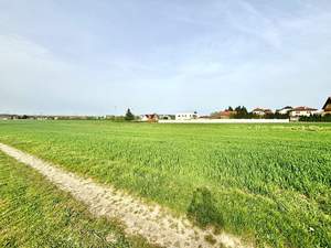 Grundstück kaufen in 2462 Wilfleinsdorf