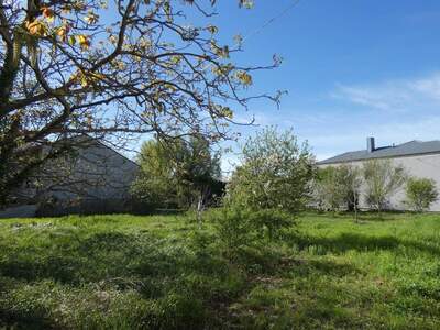 Grundstück kaufen in 7132 Frauenkirchen