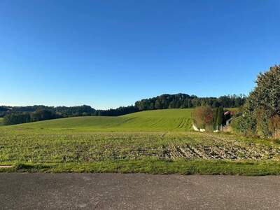 Grundstück kaufen in 4624 Pennewang