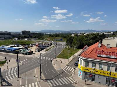 Apartment kaufen in 1100 Wien