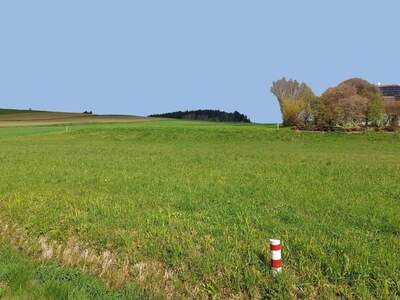 Grundstück kaufen in 3532 Rastenfeld