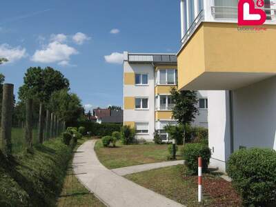 Wohnung mieten in 4502 St. Marien (Bild 3)