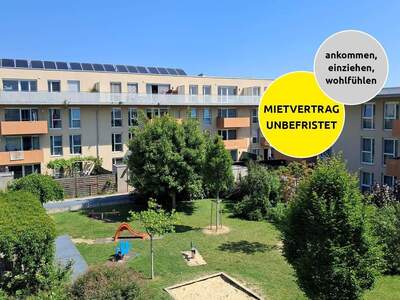 Wohnung mieten in 3500 Krems