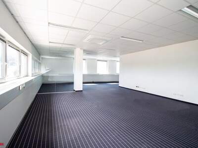 Gewerbeobjekt mieten in 4600 Thalheim (Bild 3)