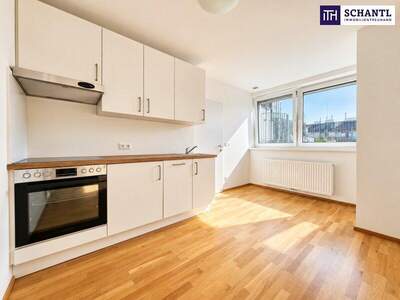 Terrassenwohnung kaufen in 1040 Wien (Bild 3)