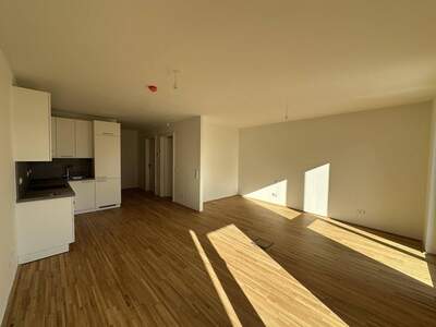 Anlageobjekt kaufen in 1220 Wien