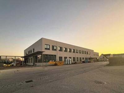 Gewerbeobjekt mieten in 4600 Wels (Bild 1)