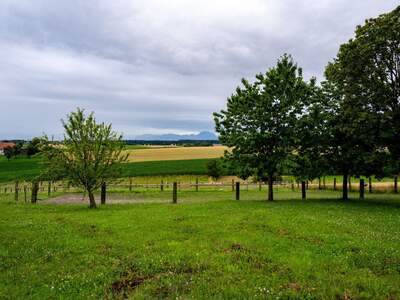 Gewerbeobjekt kaufen in 4600 Gunskirchen (Bild 3)