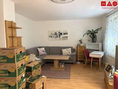 Wohnung mieten in 4400 Steyr (Bild 4)