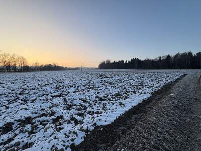 Grundstück kaufen in 4753 Taiskirchen