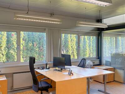 Gewerbeobjekt mieten in 4030 Linz (Bild 4)