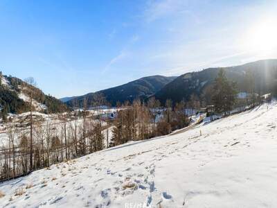 Grundstück kaufen in 9564 Rottenstein (Bild 4)