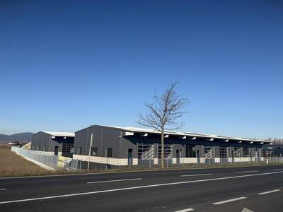 Lager mieten in 2524 Teesdorf (Bild 4)