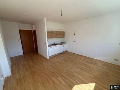 Apartment provisionsfrei mieten in 9020 Kärnten