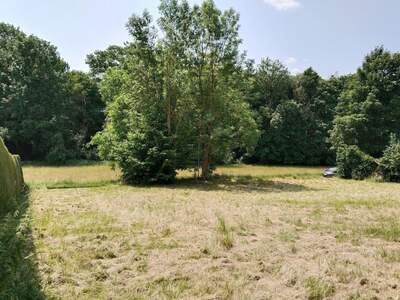 Grundstück kaufen in 4073 Wilhering (Bild 1)