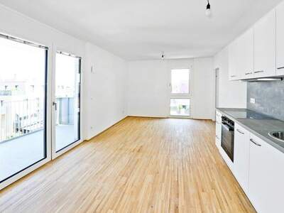 Terrassenwohnung mieten in 1220 Wien (Bild 1)