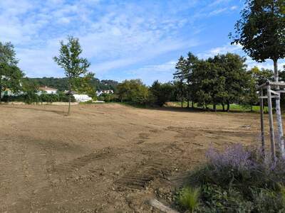 Grundstück kaufen in 7000 Eisenstadt