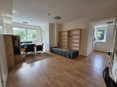 Terrassenwohnung mieten in 2840 Grimmenstein (Bild 5)