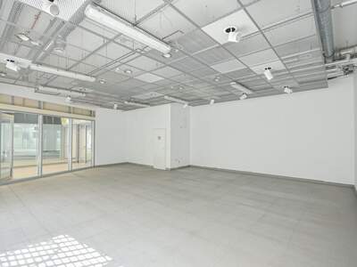 Gewerbeobjekt mieten in 1100 Wien (Bild 2)