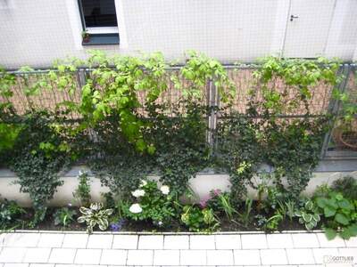 Wohnung kaufen in 1090 Wien