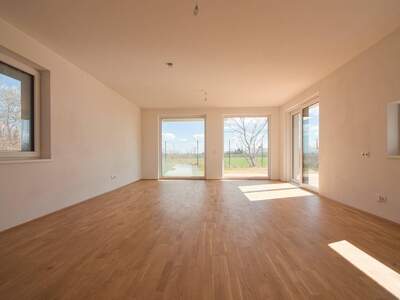 Haus kaufen in 1220 Wien