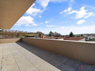 Terrassenwohnung kaufen in 2120 Wolkersdorf (Bild 1)