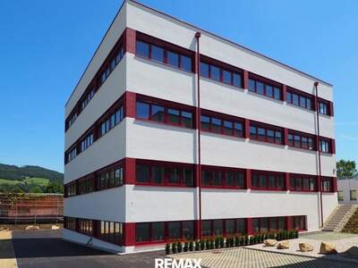 Gewerbeobjekt mieten in 4020 Linz (Bild 4)