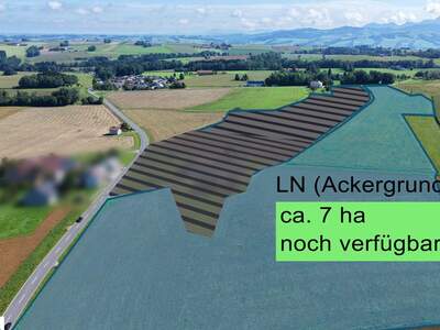 Gewerbeobjekt kaufen in 4643 Pratsdorf (Bild 1)