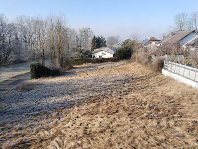 Grundstück kaufen in 4073 Wilhering (Bild 1)