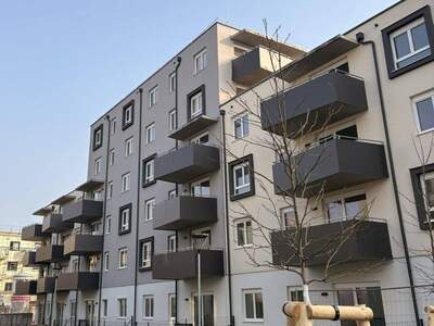 Wohnung mieten in 2700 Wiener Neustadt