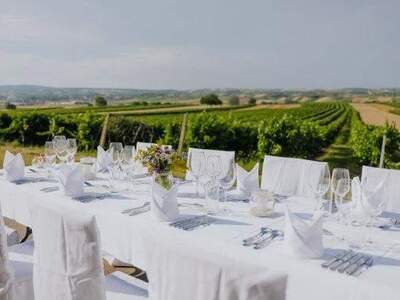 Gewerbeobjekt kaufen in 2130 Mistelbach