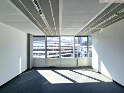 Gewerbeobjekt mieten in 1220 Wien (Bild 2)