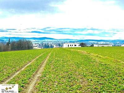 Grundstück kaufen in 4911 Tumeltsham