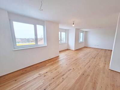 Wohnung mieten in 2345 Brunn