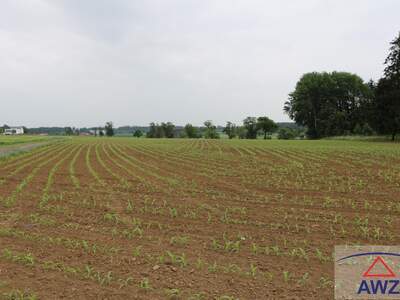 Gewerbeobjekt kaufen in 4343 Machland